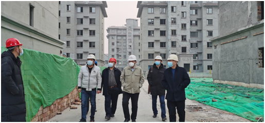 集团董事长到乐陵项目检查指导工作